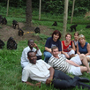 Excursion to see the Monkeys - Bonobo Nature Reserve